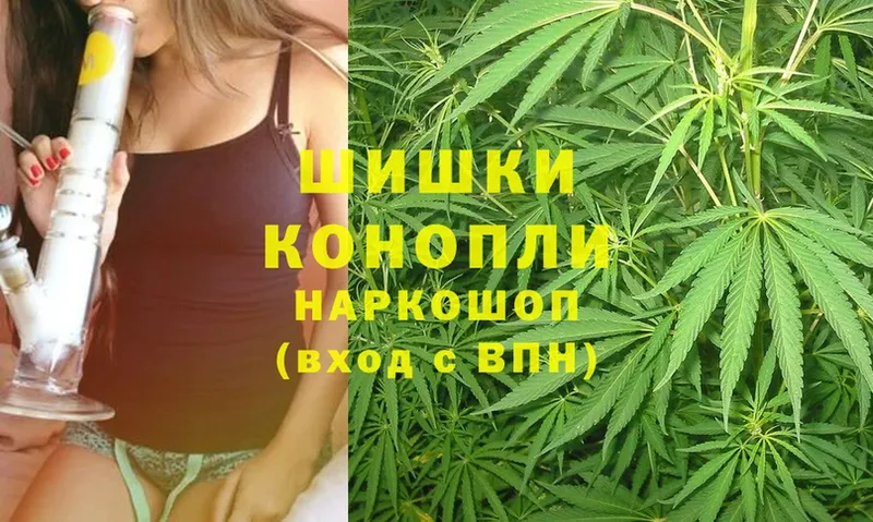 Бошки Шишки THC 21%  наркошоп  Багратионовск 